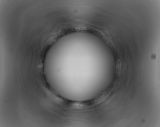 X0000091990614200709271449