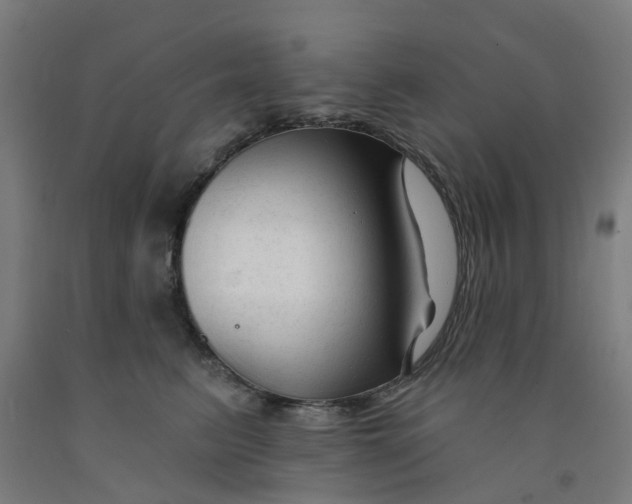 X0000091990615200709271449