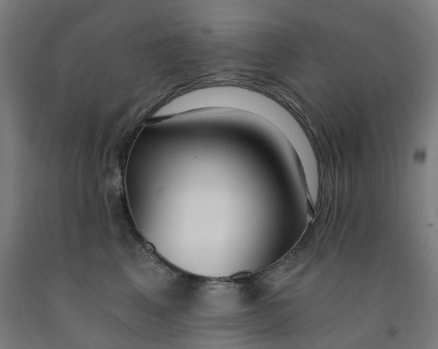 X0000091990617200709271449