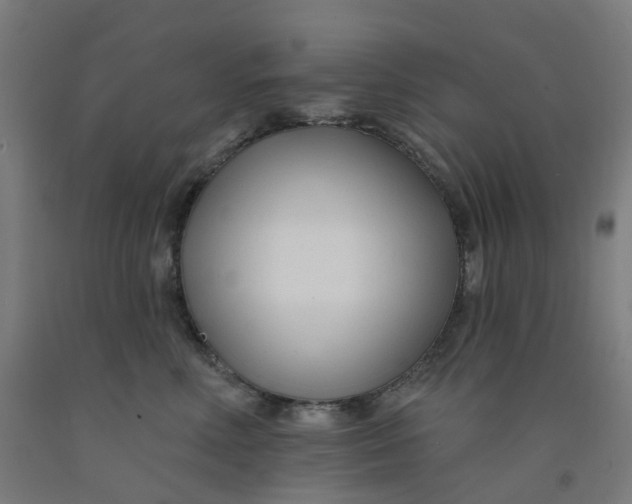 X0000091990618200709271449