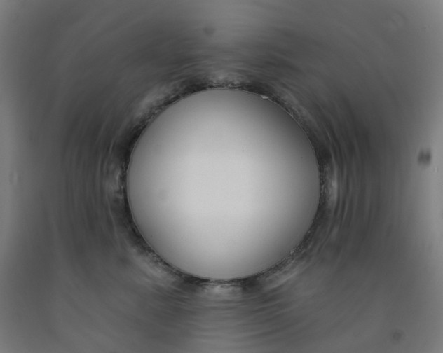 X0000091990619200709271449