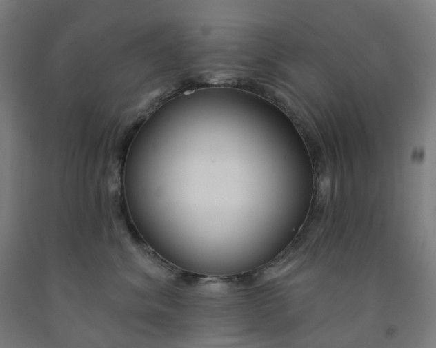 X0000091990620200709271449