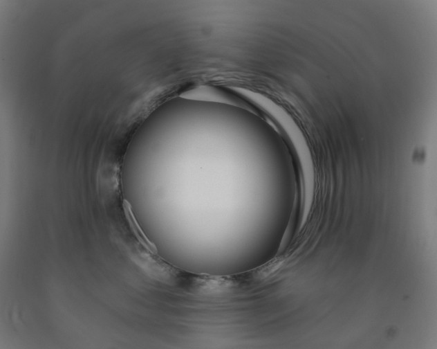 X0000091990621200709271449