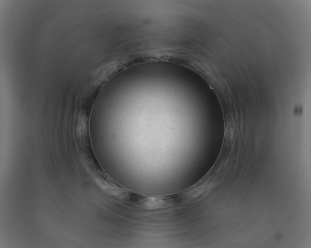 X0000091990623200709271449