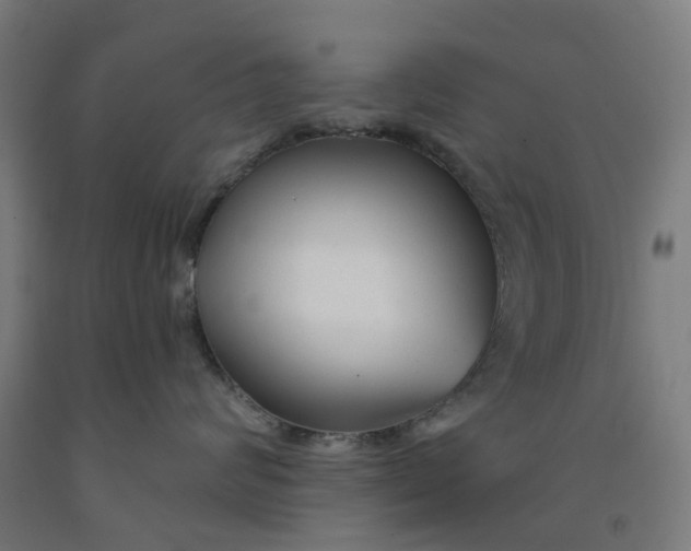 X0000091990624200709271449