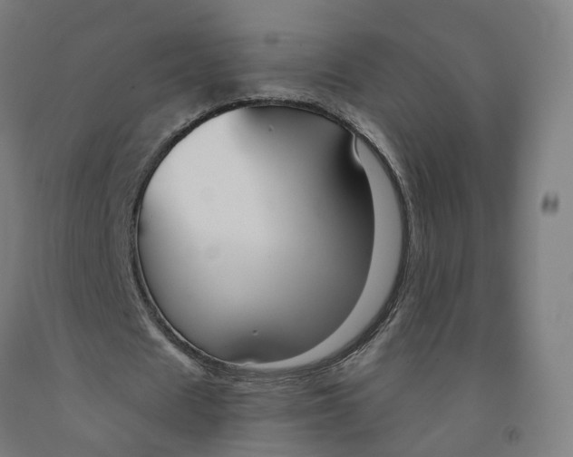 X0000091990625200709271448