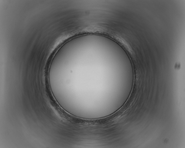 X0000091990626200709271448