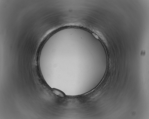 X0000091990628200709271448