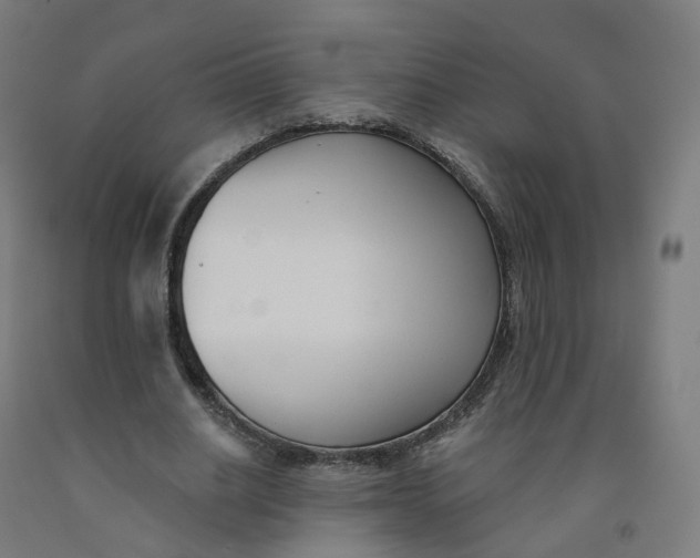 X0000091990630200709271448