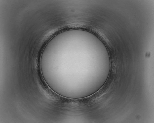 X0000091990631200709271448