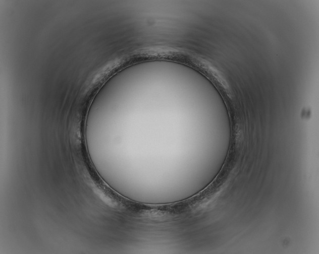 X0000091990633200709271448