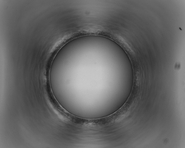 X0000091990634200709271448