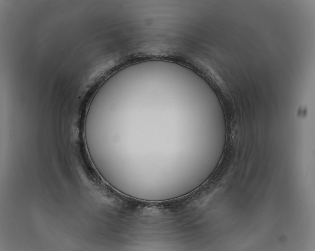 X0000091990635200709271448