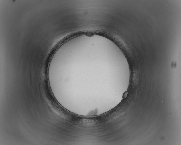 X0000091990636200709271448