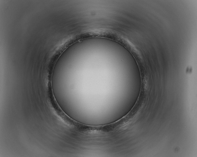 X0000091990637200709271448