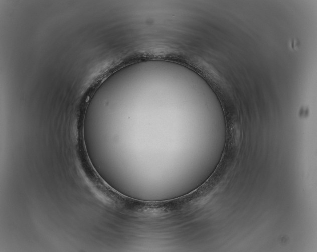 X0000091990638200709271448