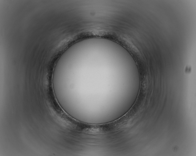 X0000091990639200709271448