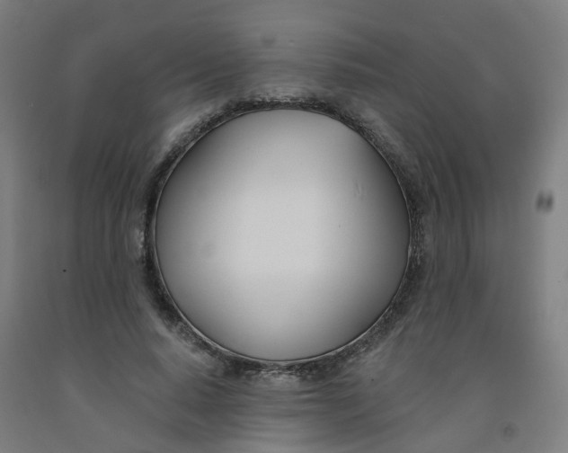 X0000091990640200709271448