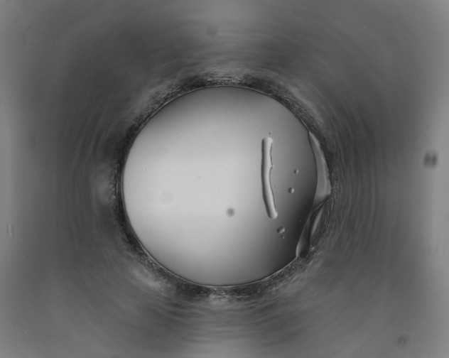 X0000091990641200709271448