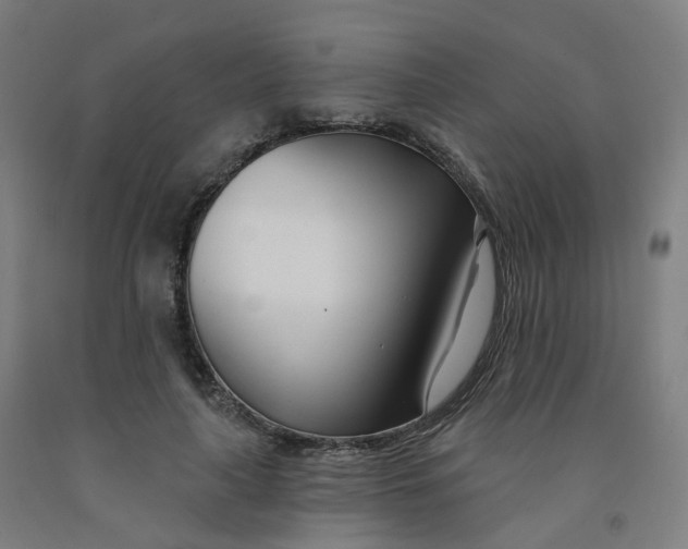 X0000091990643200709271448