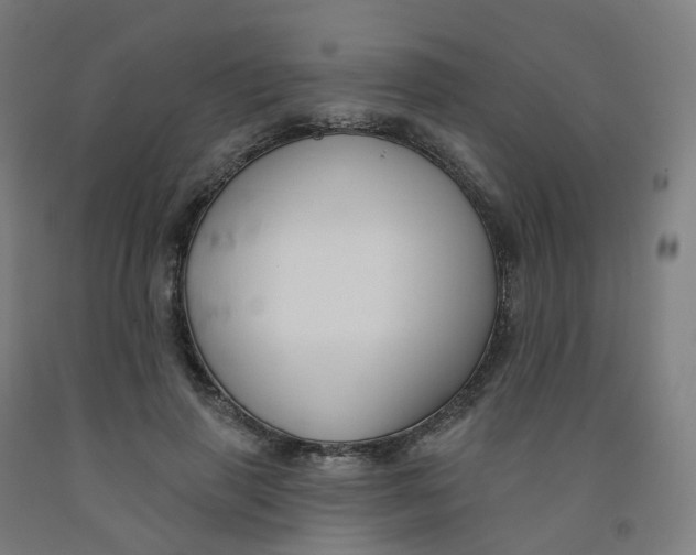 X0000091990645200709271448