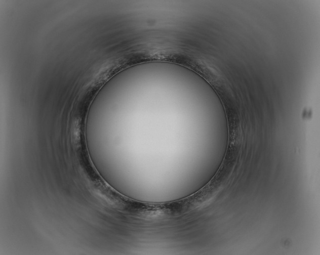 X0000091990646200709271448