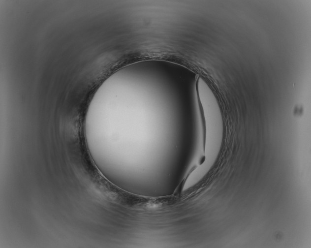 X0000091990647200709271448