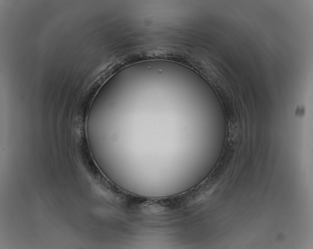 X0000091990648200709271448