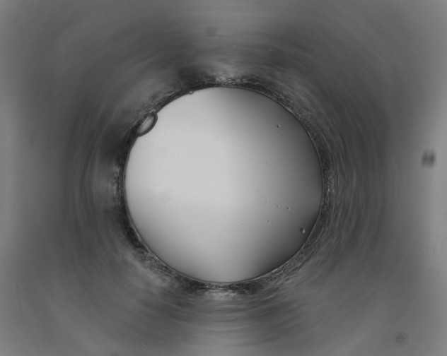 X0000091990650200709271448