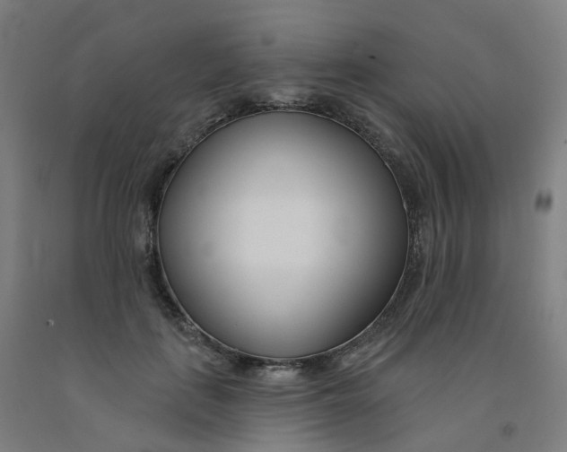 X0000091990651200709271448