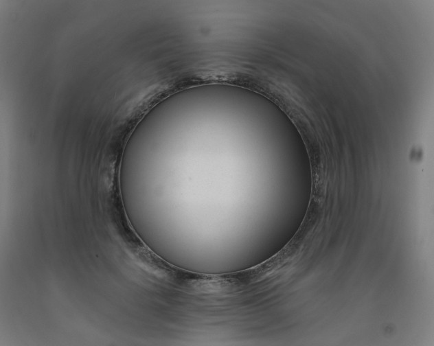 X0000091990652200709271448