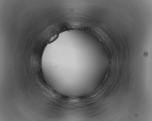 X0000091990653200709271448