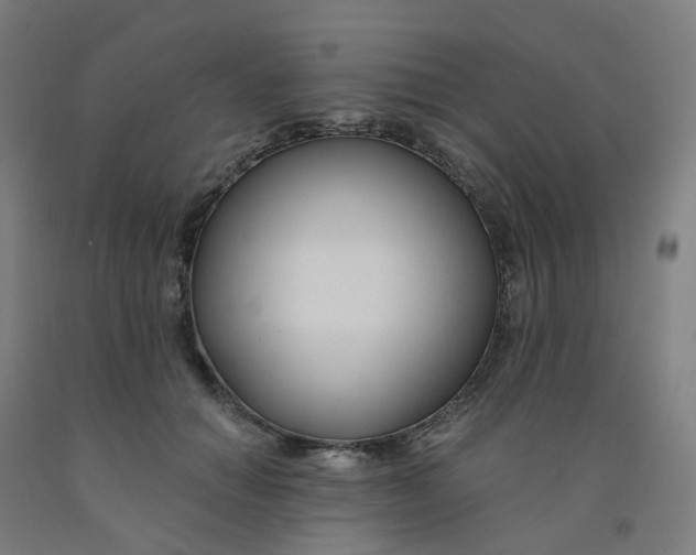 X0000091990654200709271448