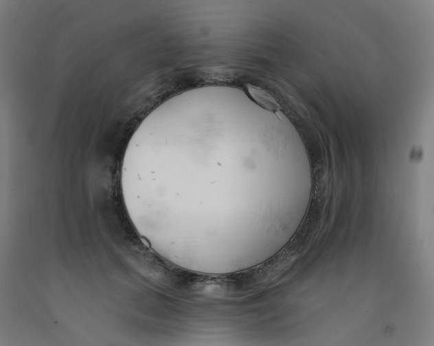 X0000091990655200709271448