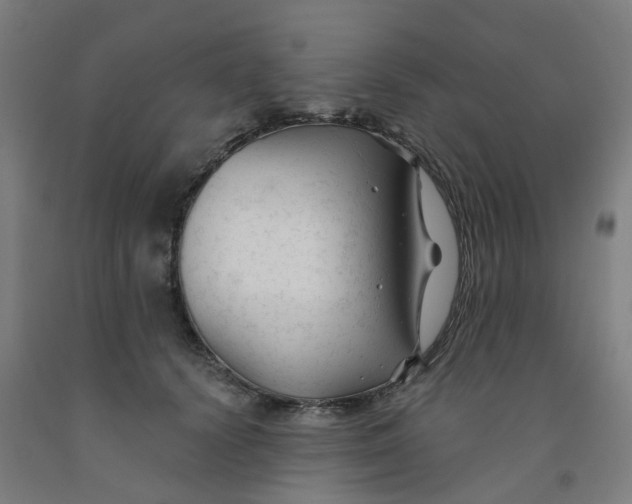 X0000091990656200709271448