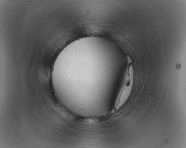 X0000091990660200709271448