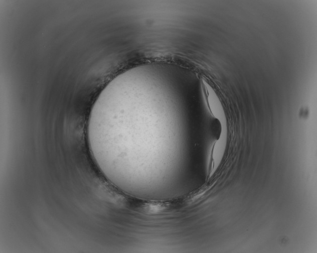 X0000091990662200709271448