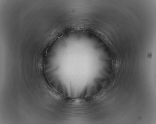 X0000091990663200709271448