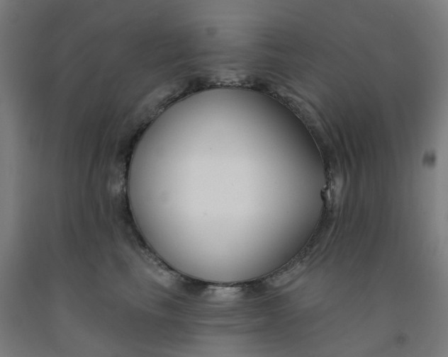 X0000091990665200709271449