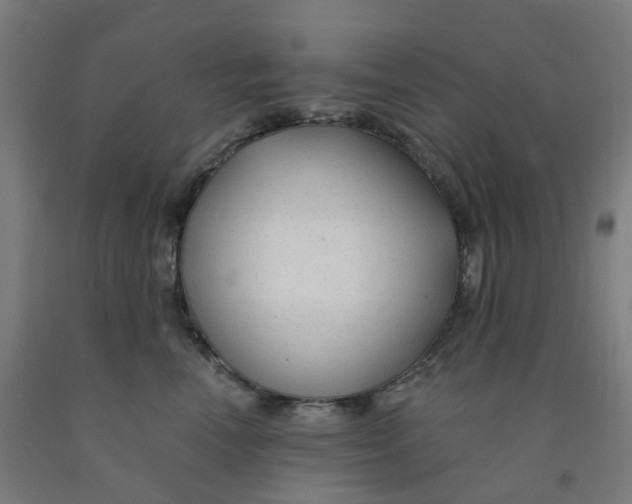 X0000091990666200709271449