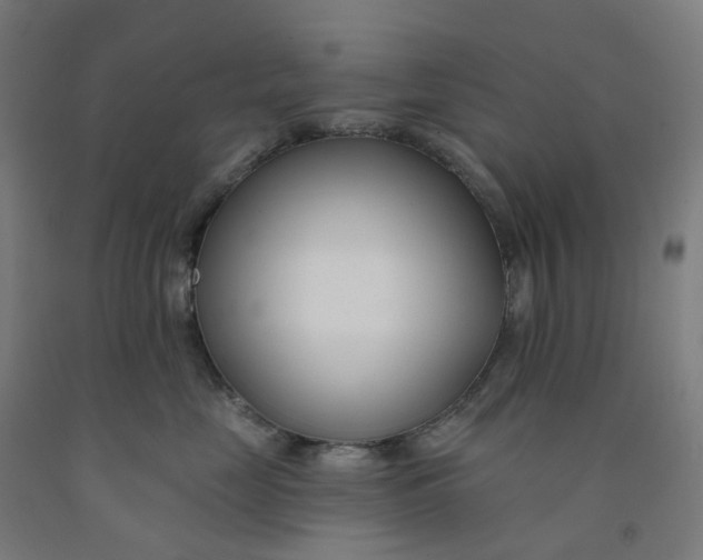 X0000091990669200709271449