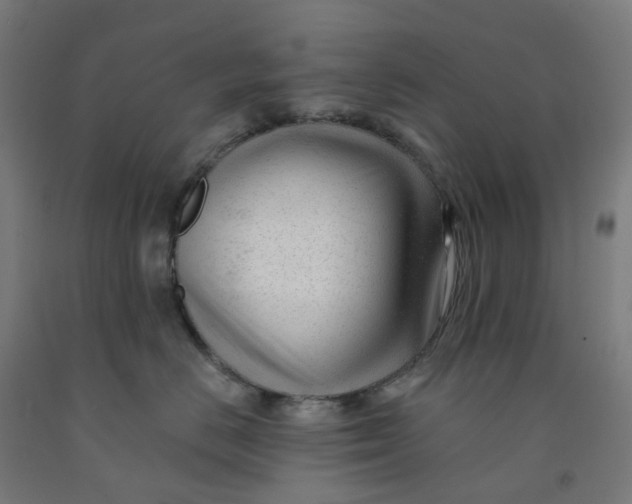 X0000091990670200709271449