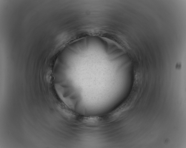 X0000091990671200709271449