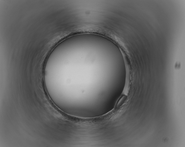 X0000091990673200709271448