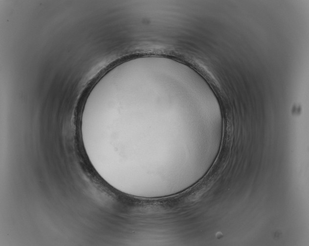 X0000091990674200709271448