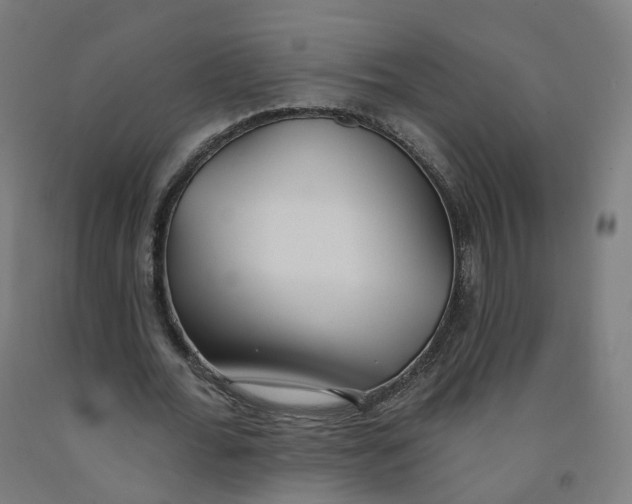 X0000091990676200709271448