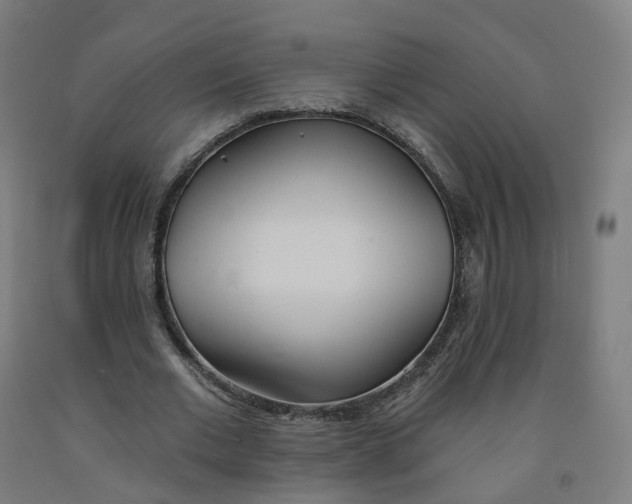 X0000091990677200709271448