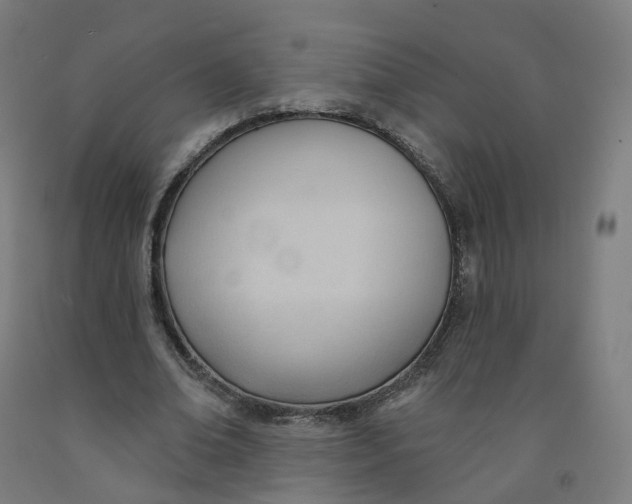 X0000091990678200709271448