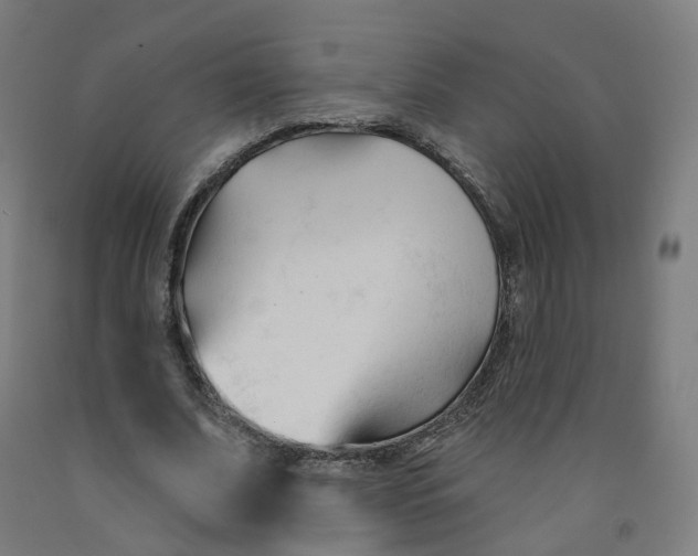 X0000091990679200709271448