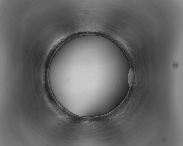 X0000091990680200709271448